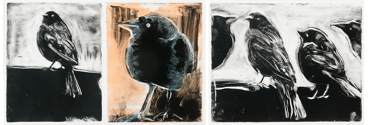 Starling prints for the holidays!