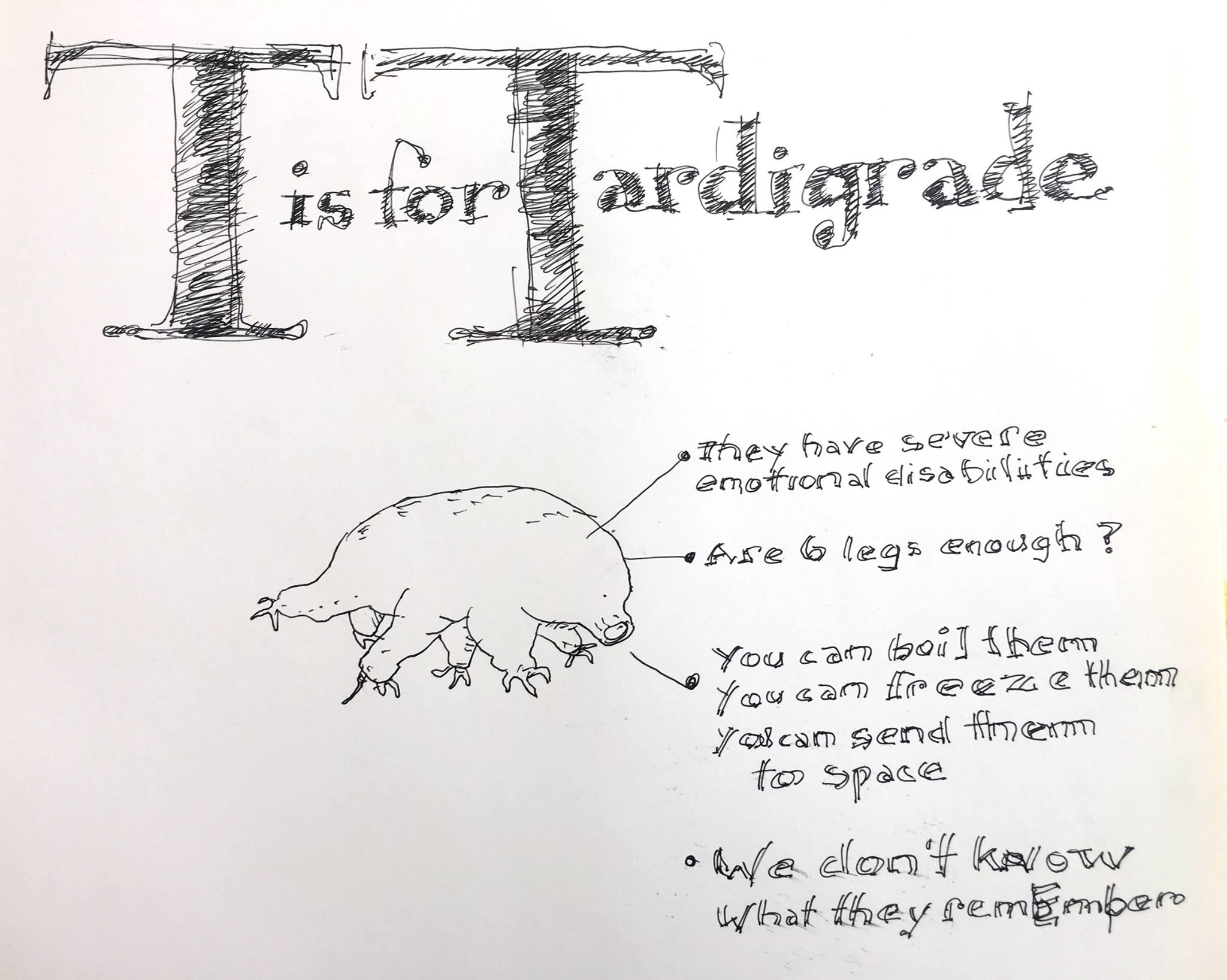 T is for tardigrade